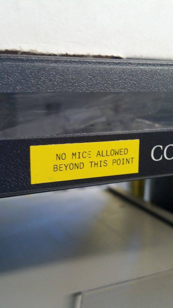 Hilarious Ways Boss-Employee Relationships Flourish