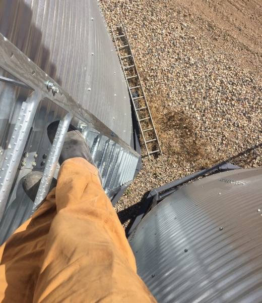 Daily Picdump [WEEKEND EDITION]