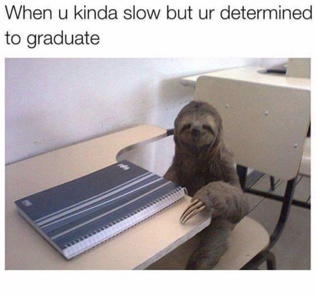 Memes to Amuse Your Tired Mind