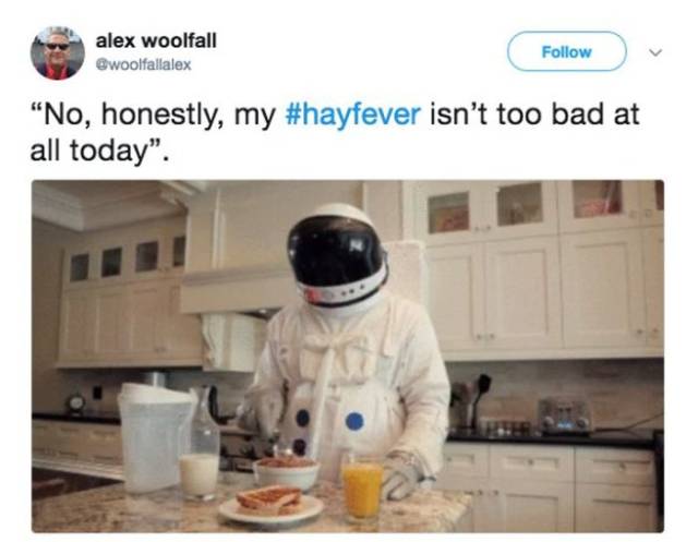 Don’t Sneeze On These Allergy Season Memes