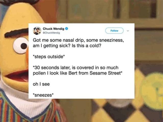 Don’t Sneeze On These Allergy Season Memes