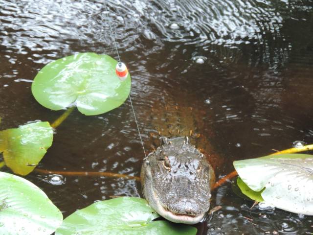 Sh*t Is All Around Us – It Happens