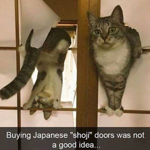 Sh*t Is All Around Us – It Happens