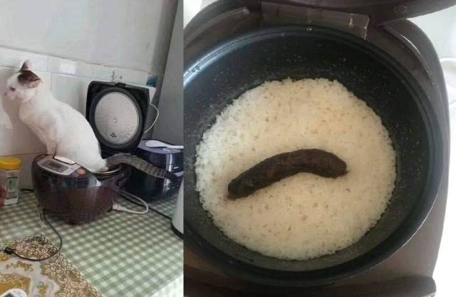 Sh*t Is All Around Us – It Happens