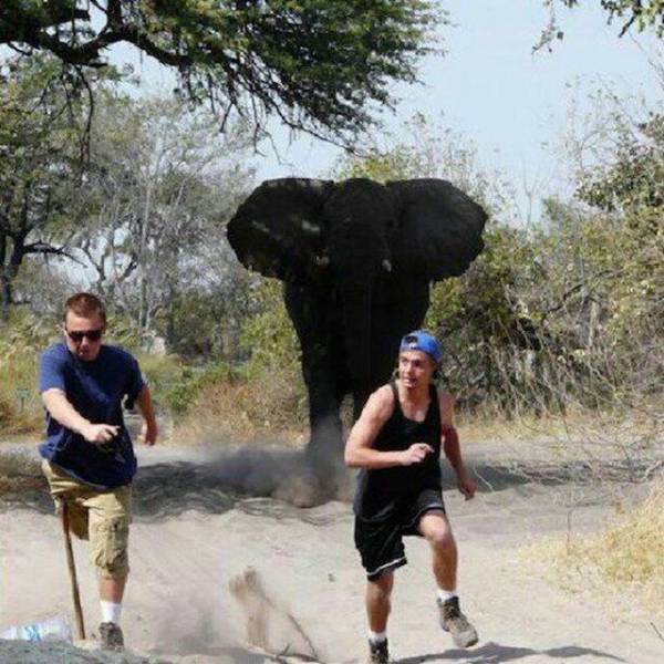 Sh*t Is All Around Us – It Happens