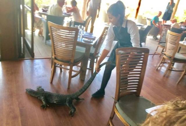 Australia: Where Very Good Comes With Very Bad