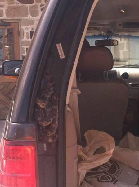 Australia: Where Very Good Comes With Very Bad