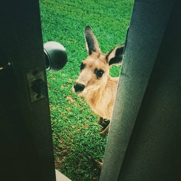 Australia: Where Very Good Comes With Very Bad