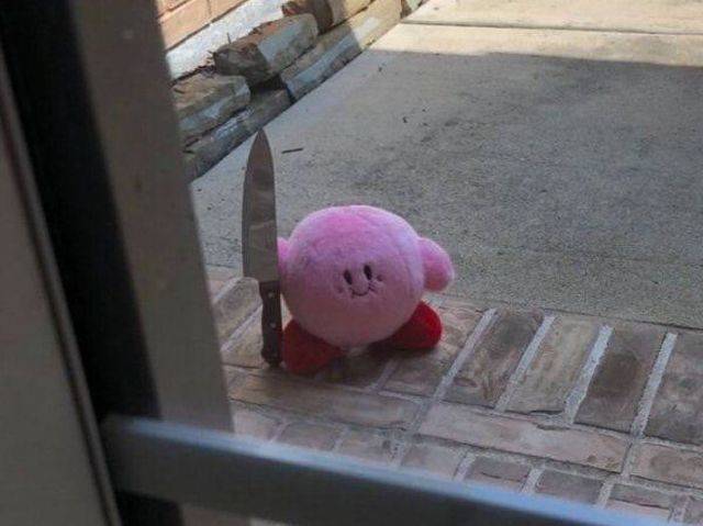 Hard-to-explain WTF Photos