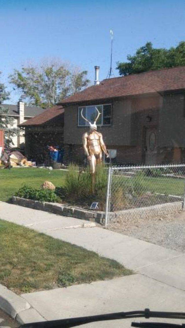 Hard-to-explain WTF Photos