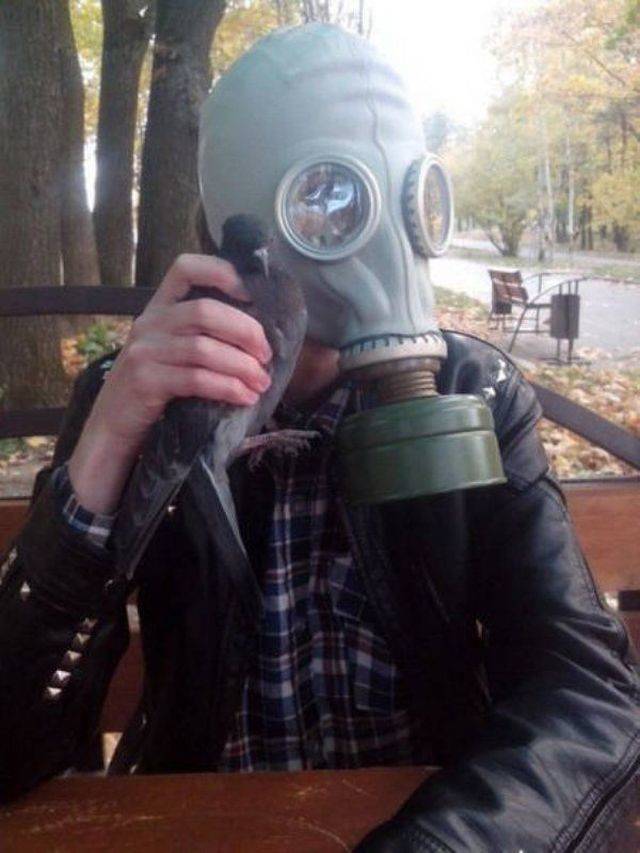 Hard-to-explain WTF Photos