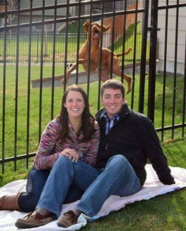 Background Always Has Something Interesting