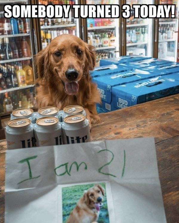 Wasted. Absolutely Wasted