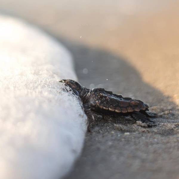 Pics That Are So Poignant and Fascinating