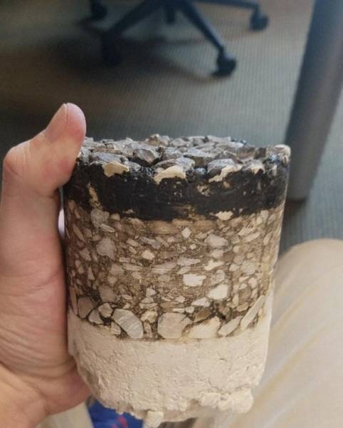 Pics That Are So Poignant and Fascinating