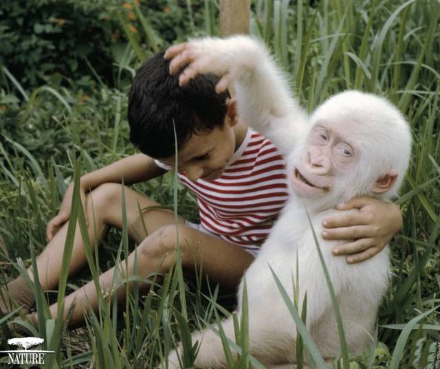 Pics That Are So Poignant and Fascinating