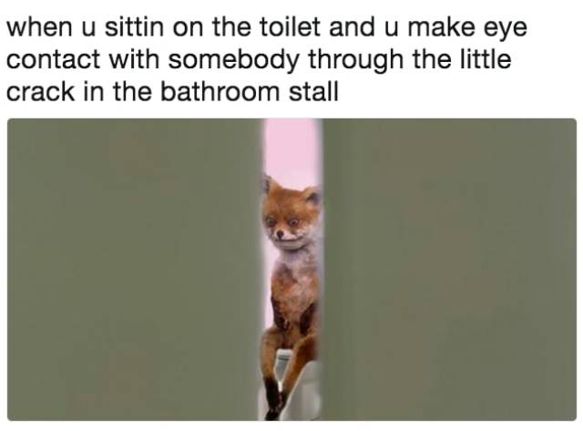 Brits Will Never Understand Those Strange Americans…