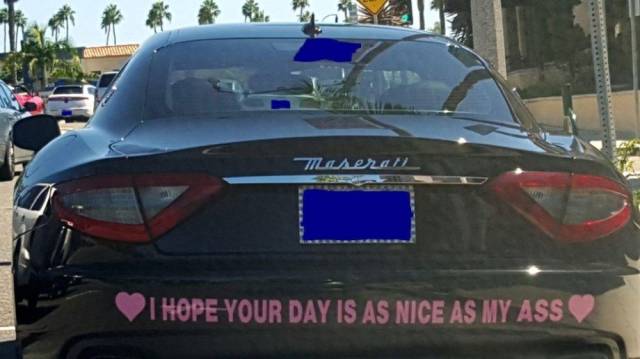 Daily Picdump [WEEKEND EDITION]