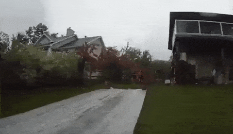 It Won’t Be Long Before Regret Comes