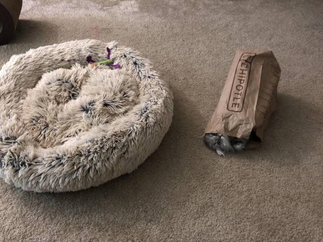 Daily Picdump [WEEKEND EDITION]