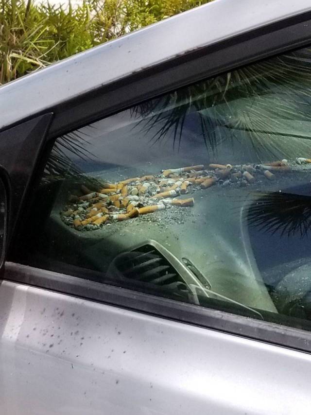 Daily Picdump [WEEKEND EDITION]