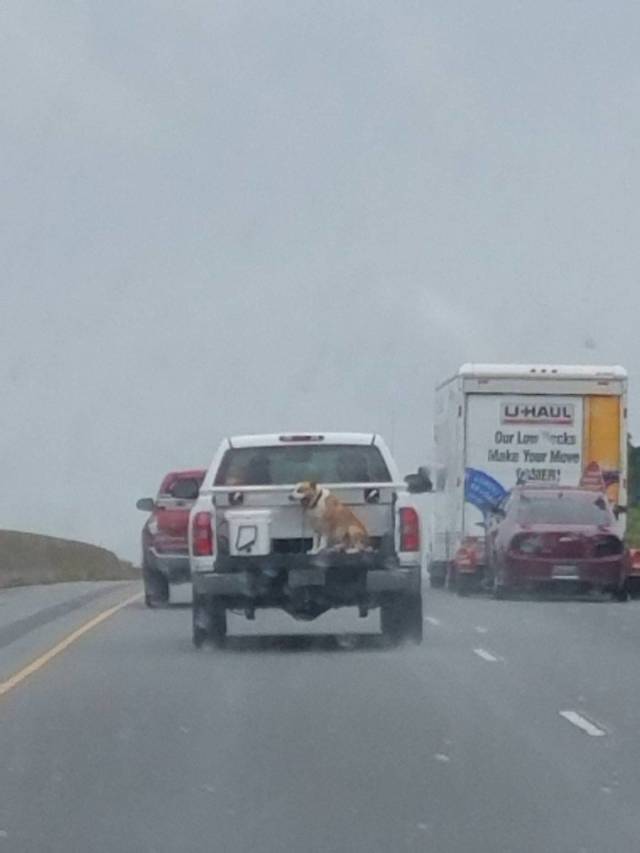 Daily Picdump [WEEKEND EDITION]