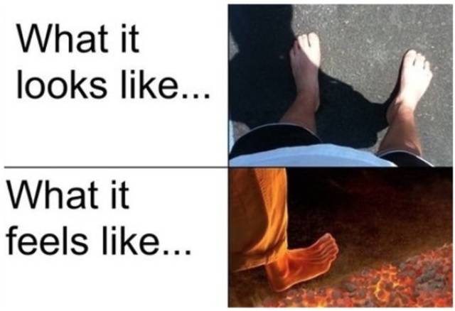 Summer Memes Are Pretty Hot!