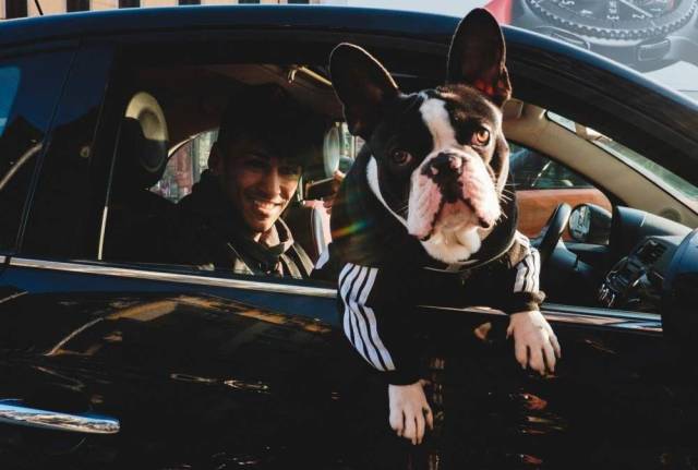 Daily Picdump [WEEKEND EDITION]