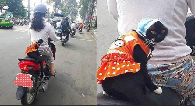 Daily Picdump [WEEKEND EDITION]