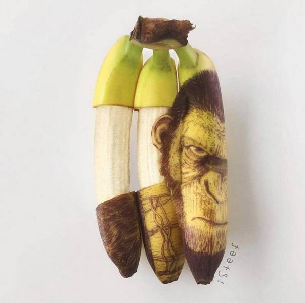 Daily Picdump [WEEKEND EDITION]