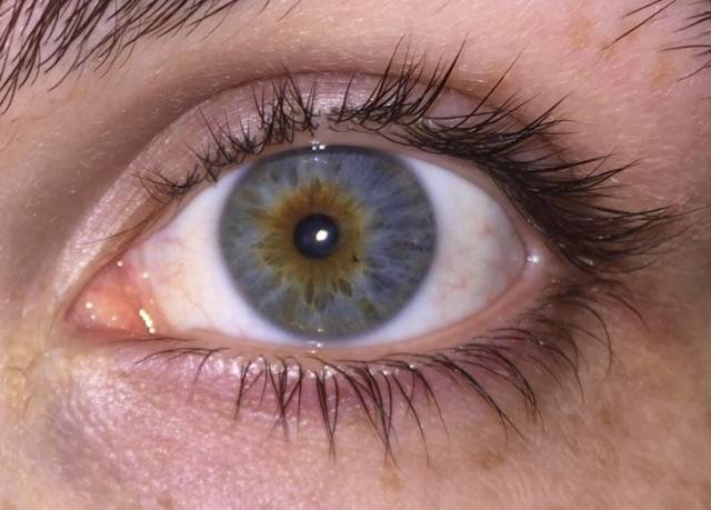 Their Bodies Are Too Weird To Be Real