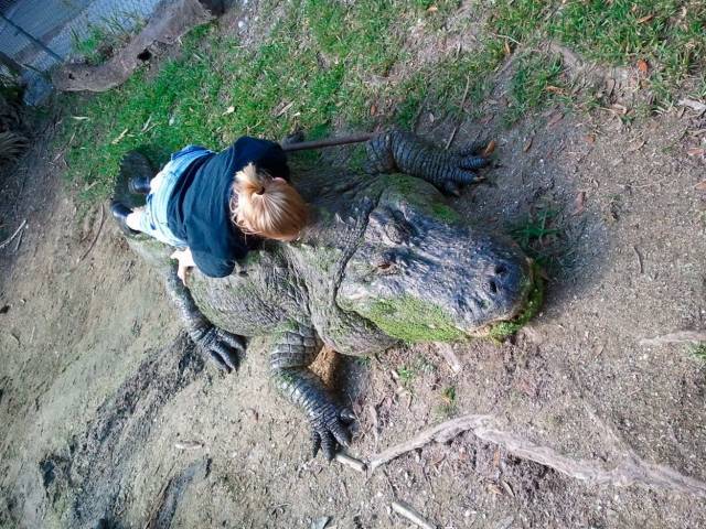 Daily Picdump [WEEKEND EDITION]