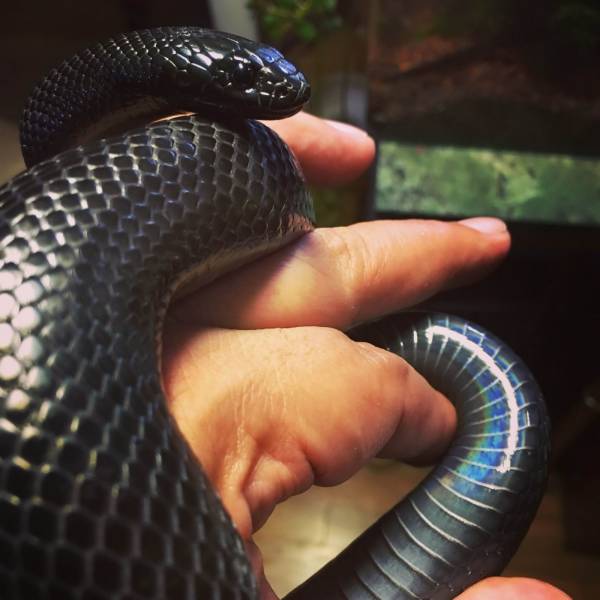 Daily Picdump [WEEKEND EDITION]