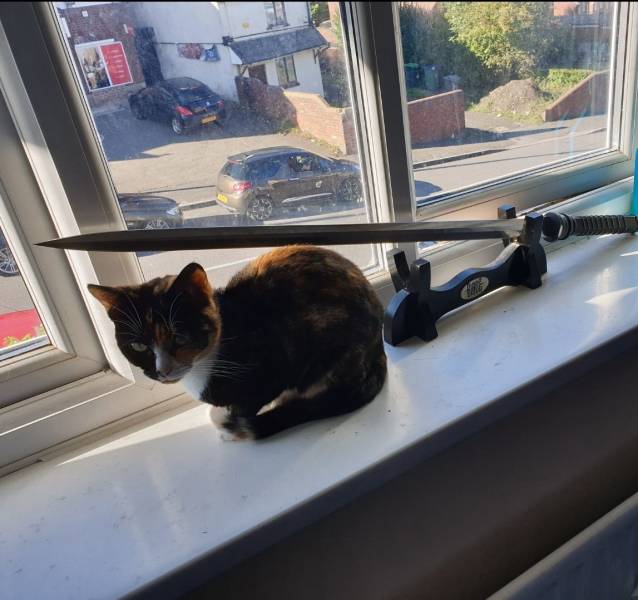 Daily Picdump [WEEKEND EDITION]