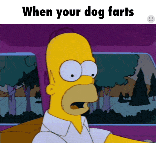 Fart Memes That Don’t Smell So Good