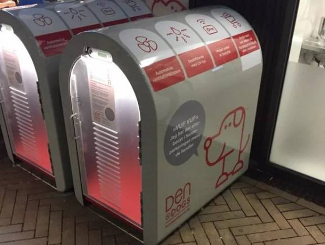 Stores That Are A Few Steps Ahead