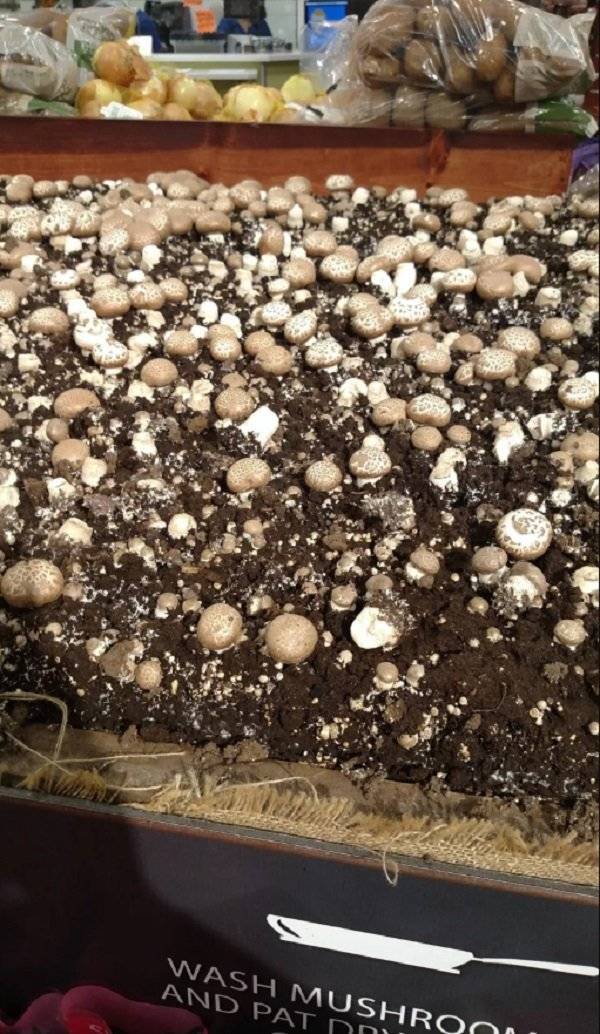 Stores That Are A Few Steps Ahead