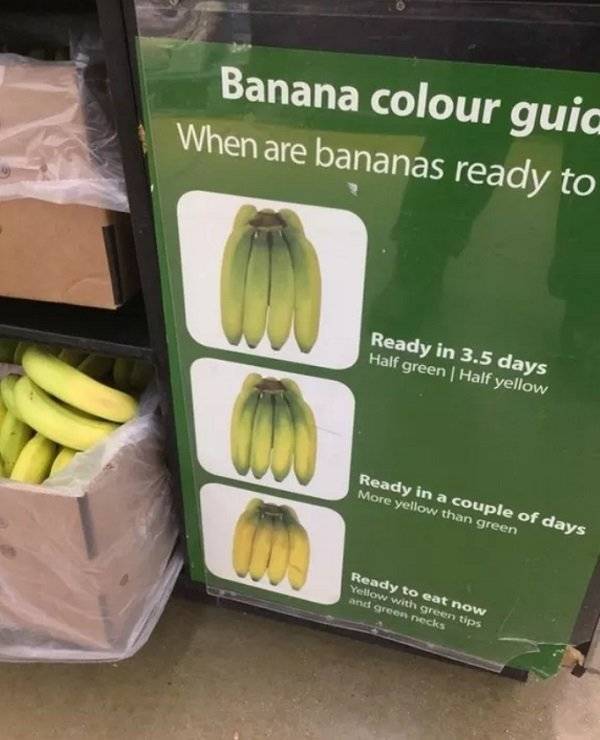 Stores That Are A Few Steps Ahead