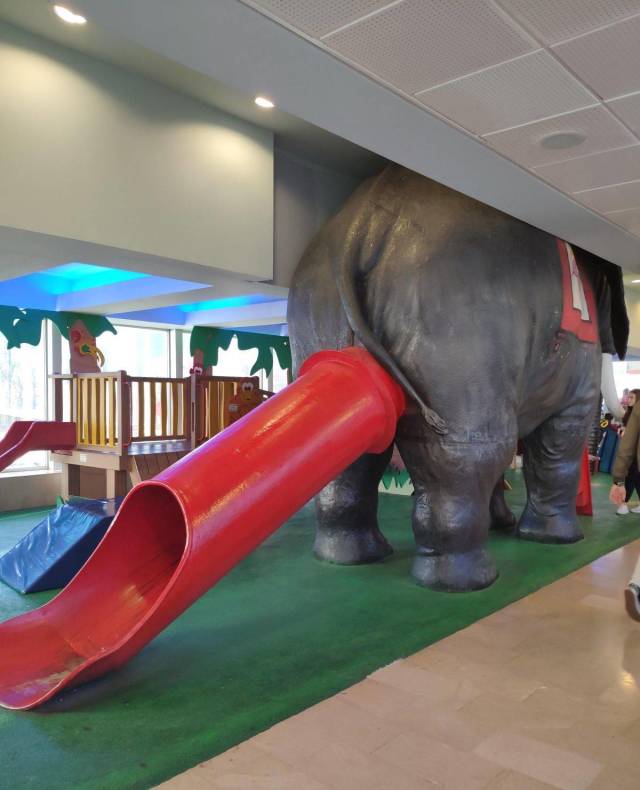 Hard-to-explain WTF Photos