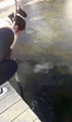 Hotties Are Still Hot When They Fail