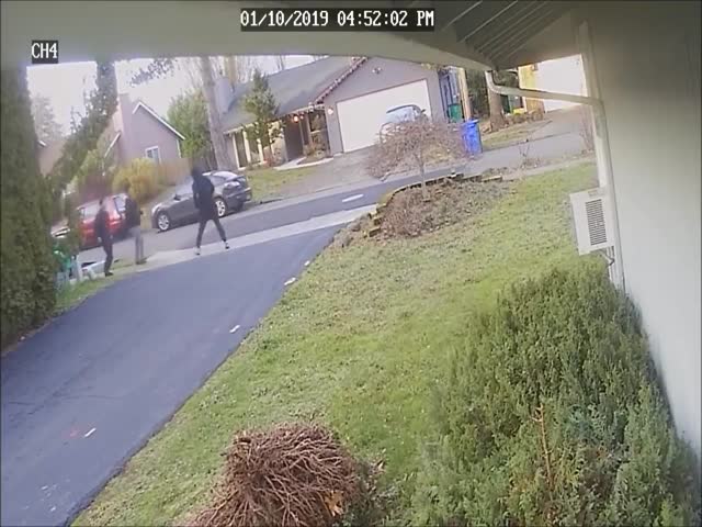 They Looked Like They Knew What Was Coming To Them