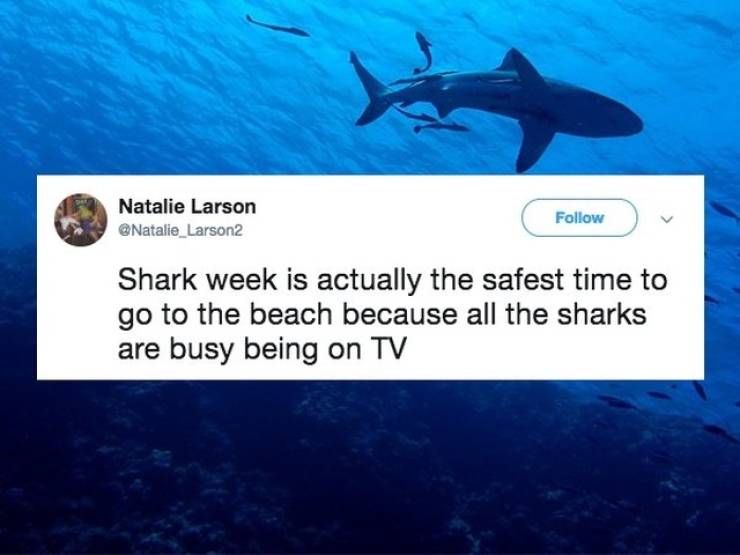 Why Are TV Shows So Addictive?!