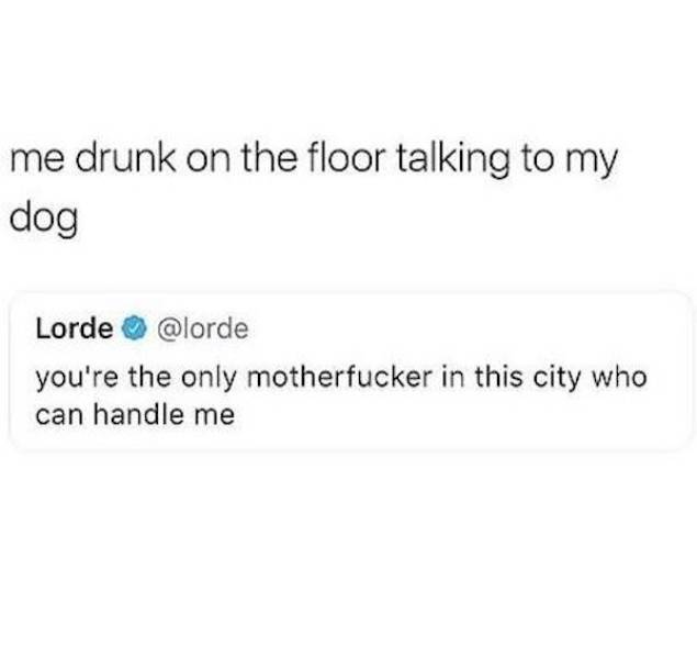 Drunk People Do So Many Stupid Things