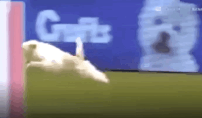 The Regret! THE REGRET!