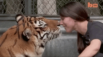 Girls Who Can Do What Most Other People Can’t