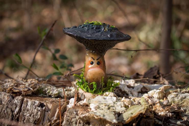 Daily Picdump [WEEKEND EDITION]