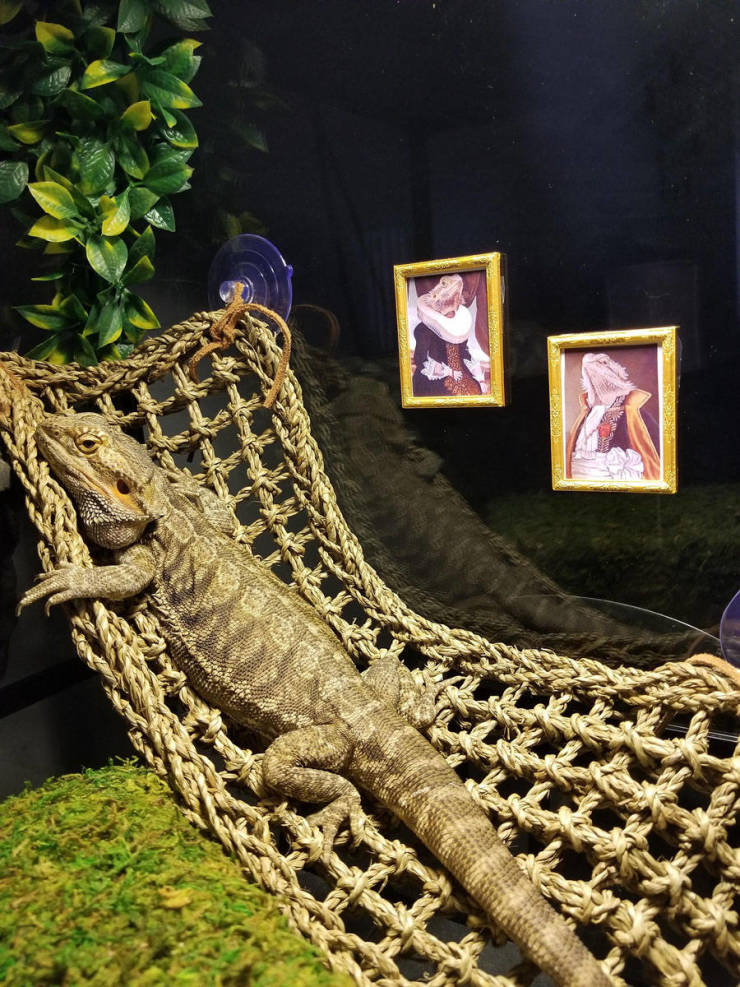 Daily Picdump [WEEKEND EDITION]