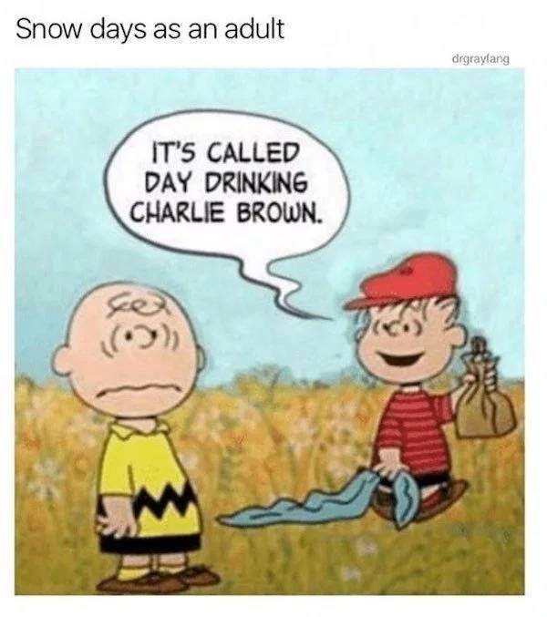 Absolutely 100% Wasted