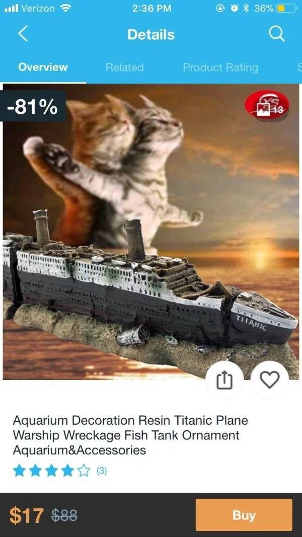 Wish.com Is The Definition Of WTF