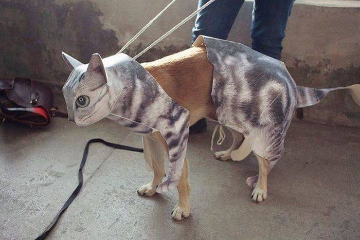 Sometimes You Just Can’t Explain…